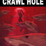 Crawl Hole Cover
