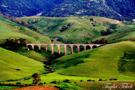 Tizi Ouzou/Algeria