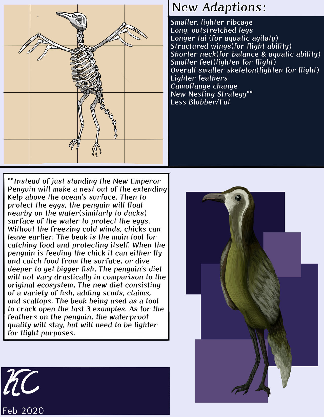 Emperor Penguin Adaptations by Katie-The-KitKat on DeviantArt