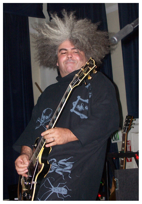 The Melvins 1