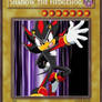 Shadow the Hedgehog