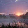 Foggy Morning