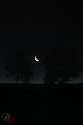 Night of a Crescent Moon