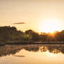 Golden Sunrise