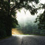 The Path