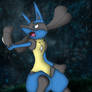 Lucario of god in stars