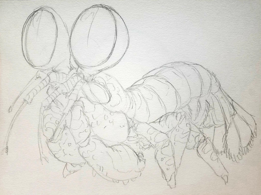 Thumpy by jishintai on DeviantArt