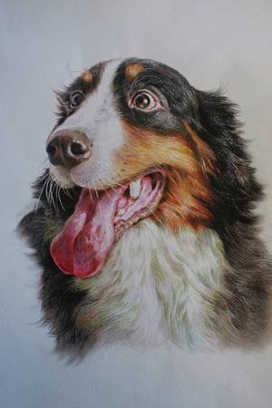 Dog2 by YeMa-gallop Dog2 by YeMa-gallop
