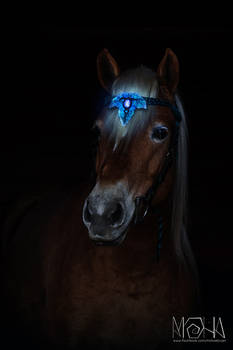Glowing bridle ornament - Copyright (c)Moha