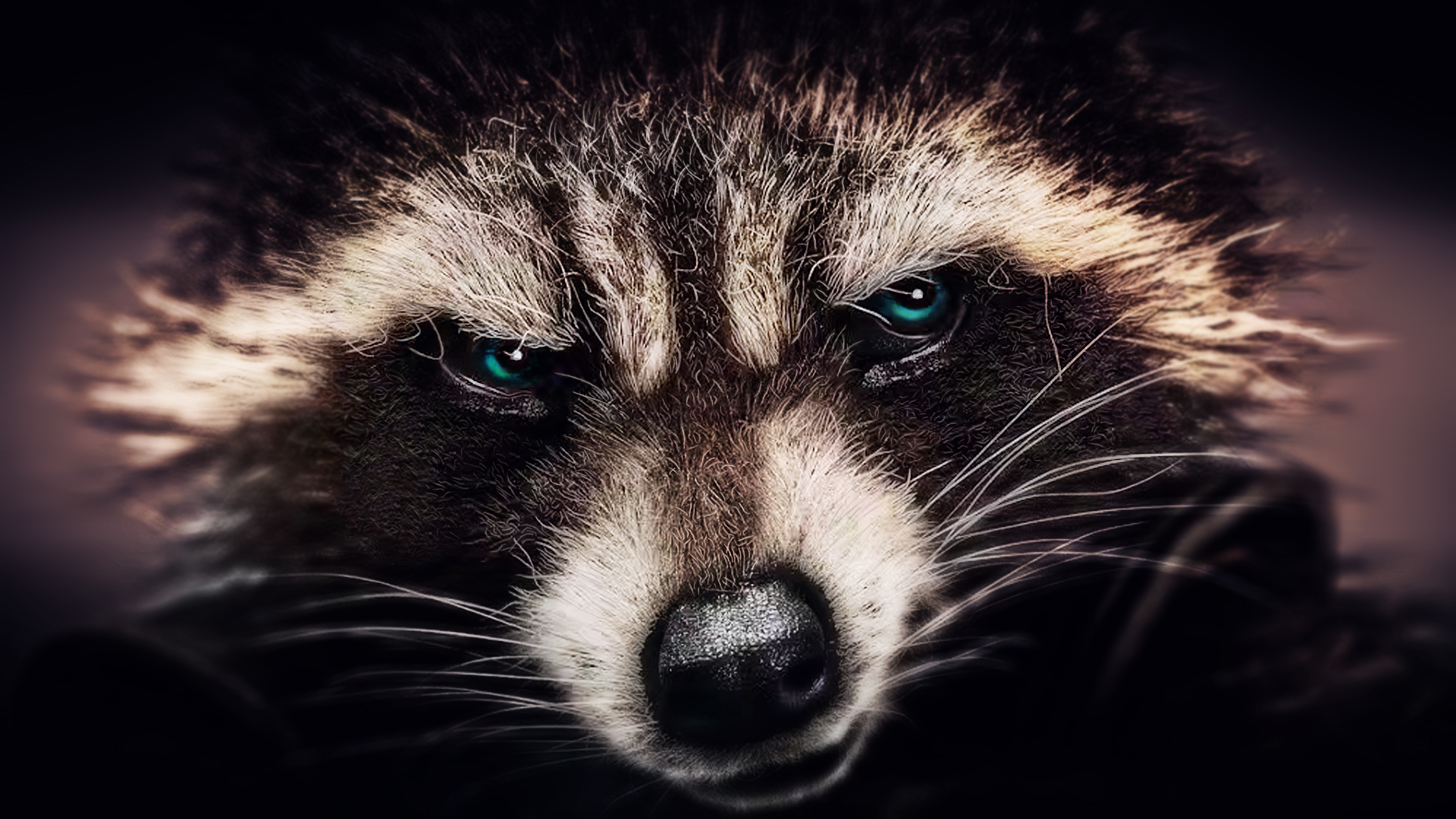 Rocket Raccoon wallpaper (6)