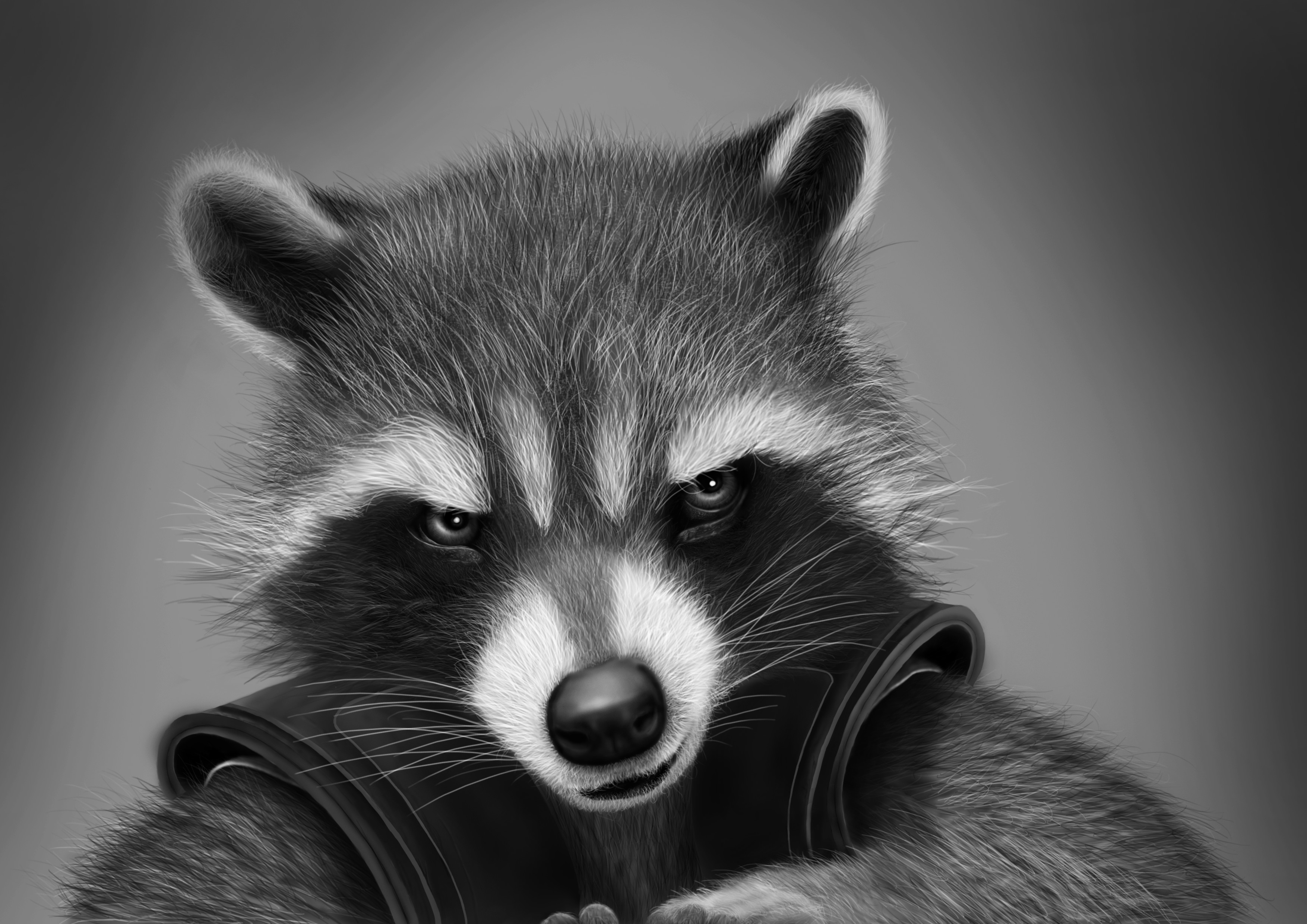 Rocket Raccoon - digital drawing