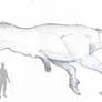 (Male) Tyrannotitan size comparison