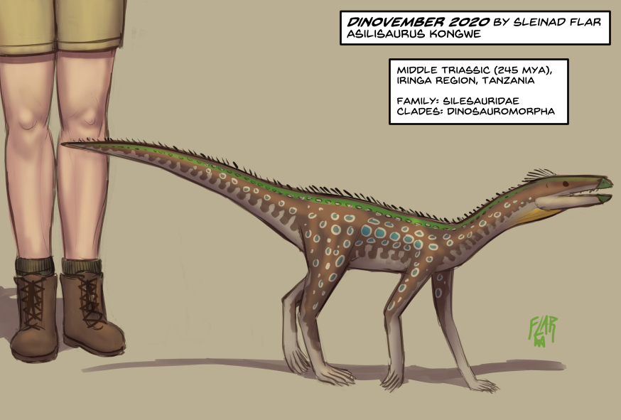 Asilisaurus Asilisaurus kongwe by SleinadFlar on DeviantArt