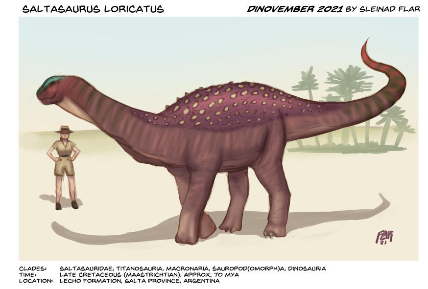 Saltasaurus Tooth Saltasaurus loricatus by SleinadFlar on DeviantArt