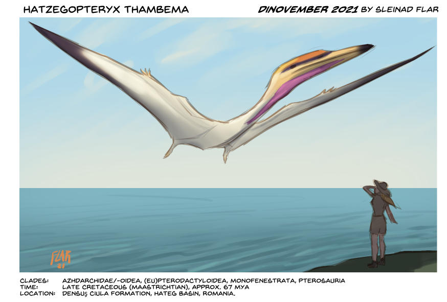 Hatzegopteryx Thambema By SleinadFlar On DeviantArt hatzegopteryx-thambema-by-sleinadflar-on-deviantart