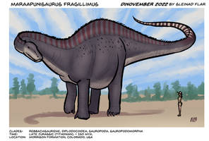 Maraapunisaurus fragillimus