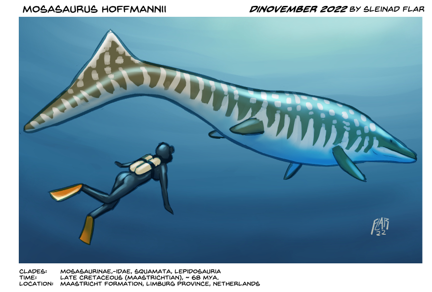 Mosasaurus Text Mosasaurus hoffmanni by SleinadFlar on DeviantArt