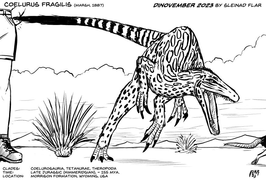 Coelurus Deviantart Coelurus fragilis by SleinadFlar on DeviantArt