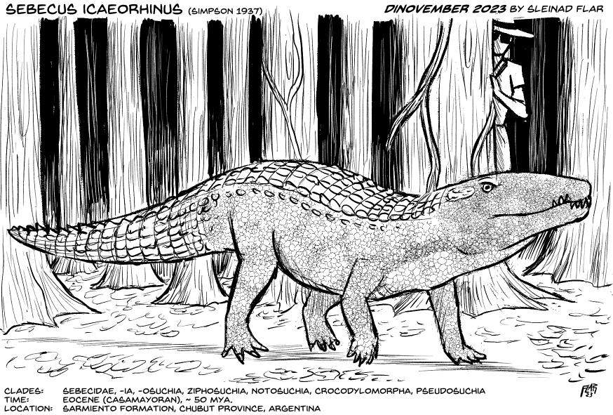 Sebecus Skeleton Sebecus icaeorhinus by SleinadFlar on DeviantArt