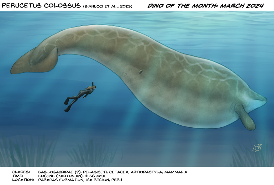 Perucetus Perucetus colossus by SleinadFlar on DeviantArt