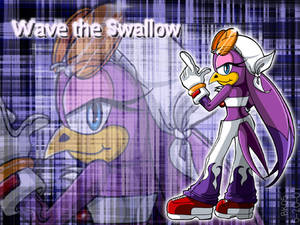 .:Wave the Swallow Wp:.
