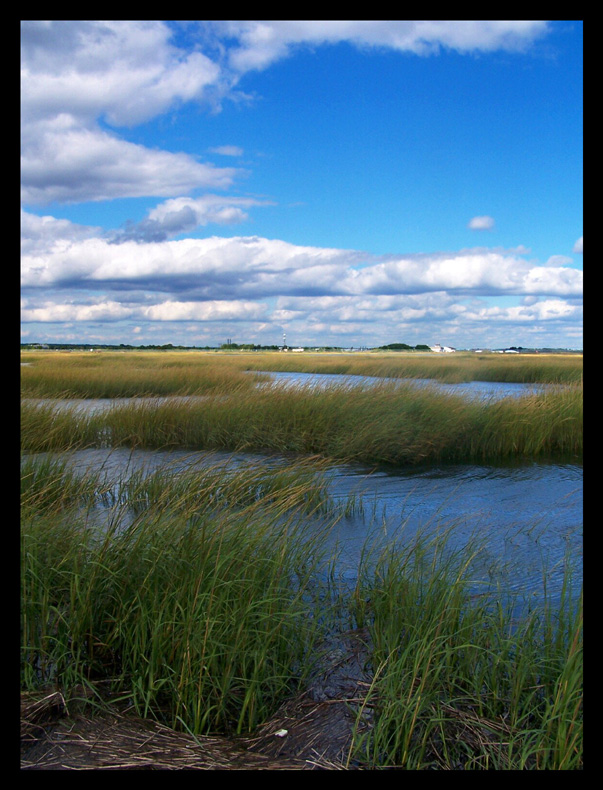 bright calm blue