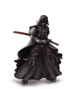 samurai vader