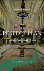 Perfect Plan - Cover