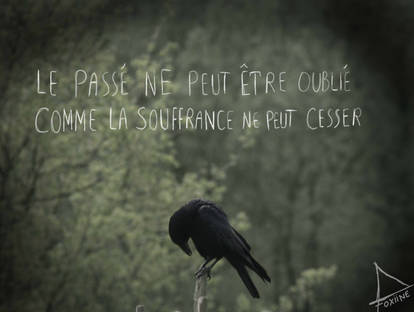 Explore The Best Citations Art Deviantart Explore The Best Citations Art Deviantart