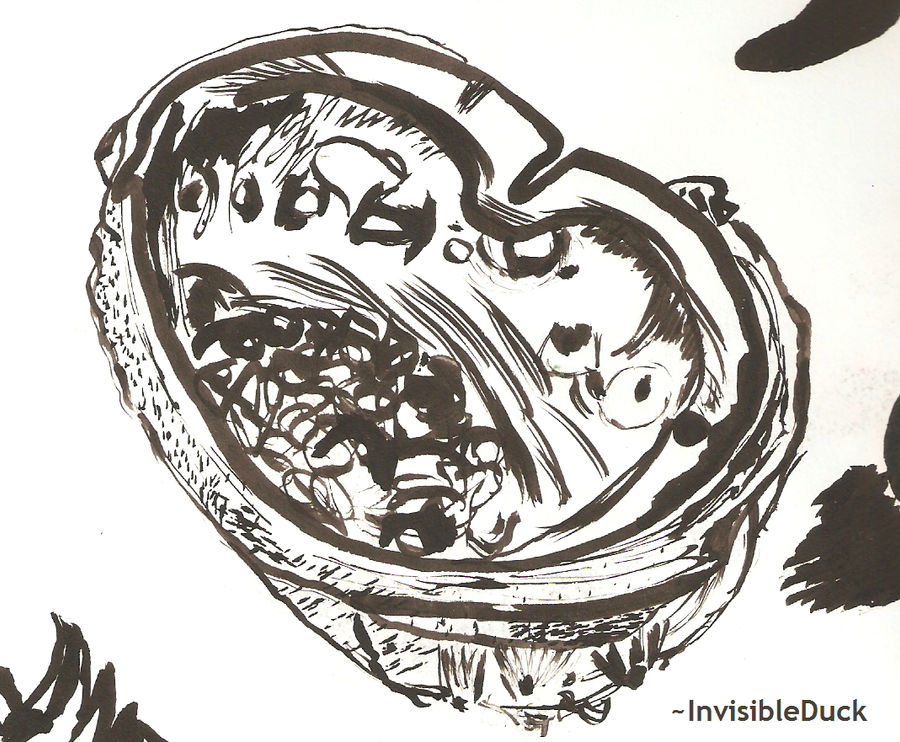 Ink Shell Artist Ink: Shell by InvisibleDuck on DeviantArt
