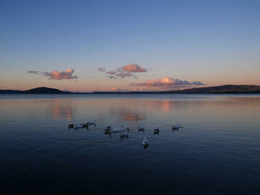 Lake Rotorua