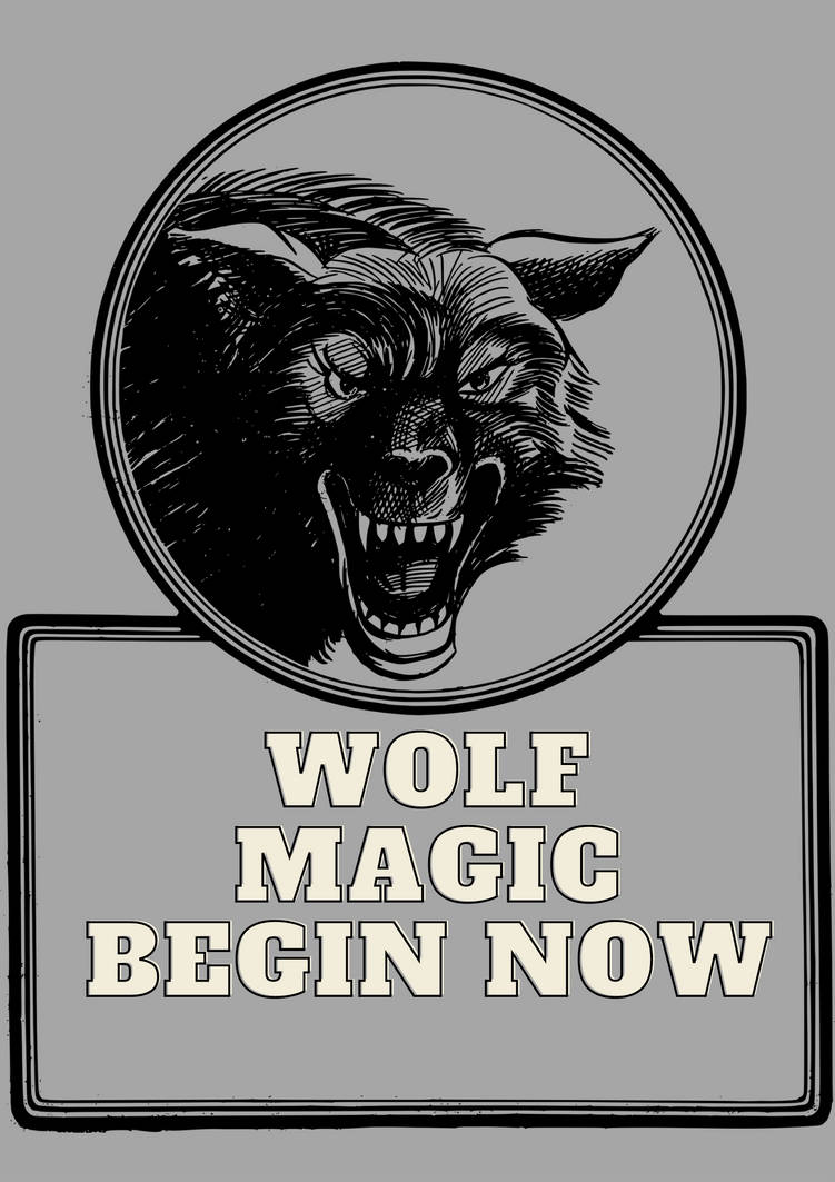 Wolf Magic Begin Now Wolf Art by ntv21 on DeviantArt
