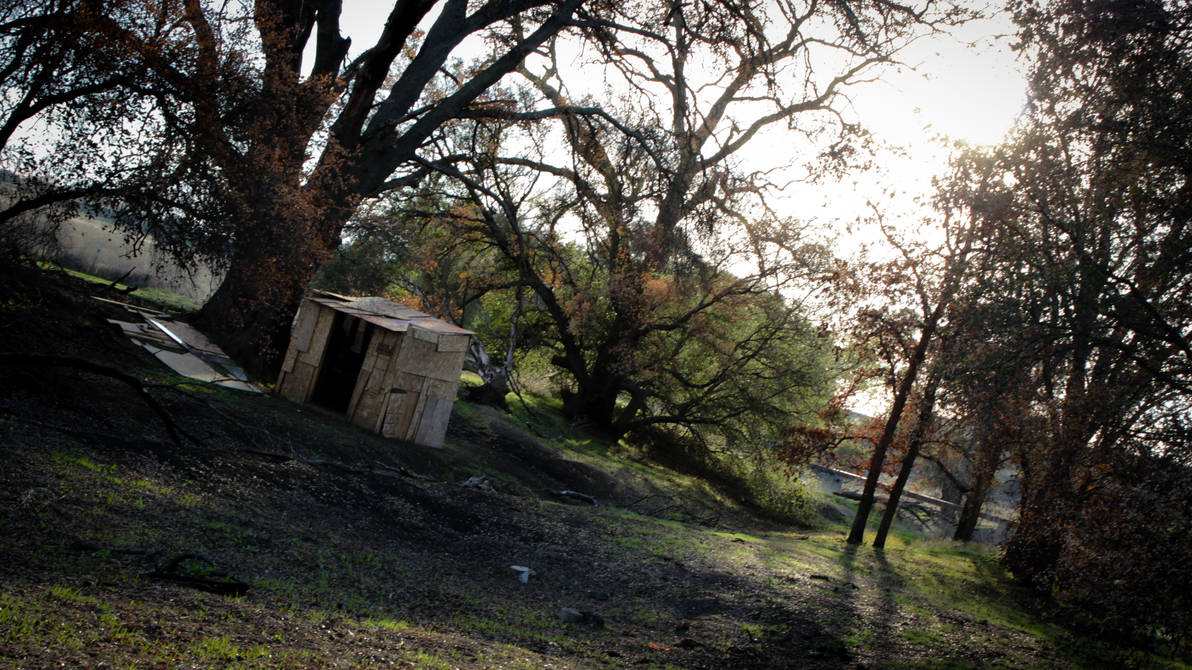 Lonely Hut