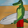 Ready to Surf