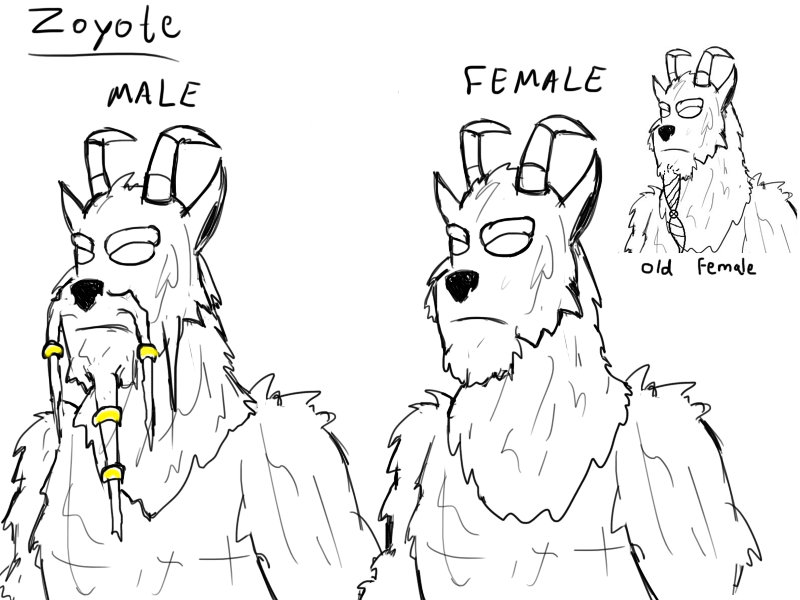 Zoyote gender comparion