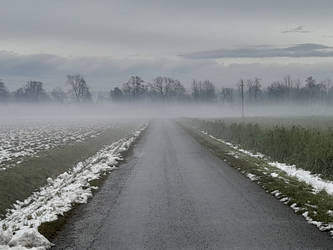 Foggy road