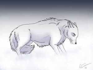 Larka The White Wolf