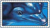 Ecco the Dolphin Stamp