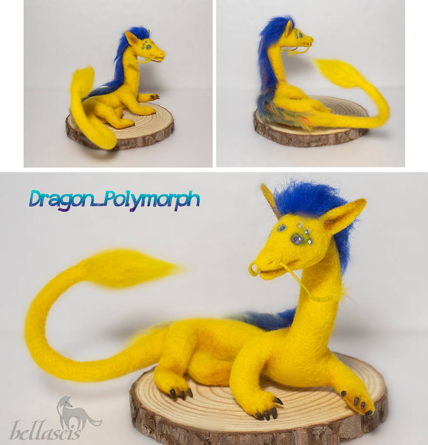 Dragon_Polymorph to order by bellascis on DeviantArt