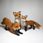 UntitledThe Fox Family by bellascis