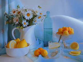 Photomanipulation with Still Life #5