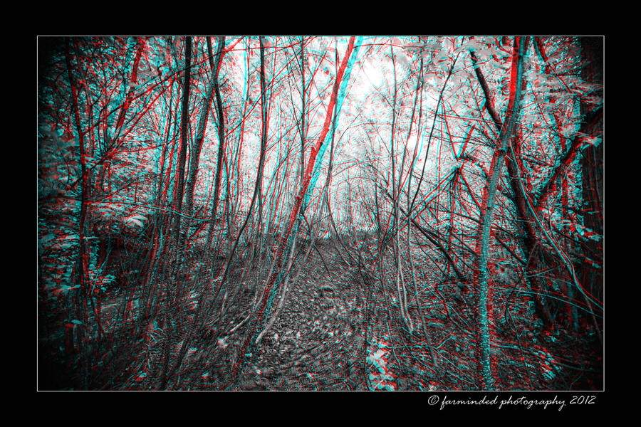 3D in the woods