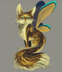 Fairy cat