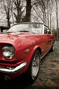 Ford Mustang 289