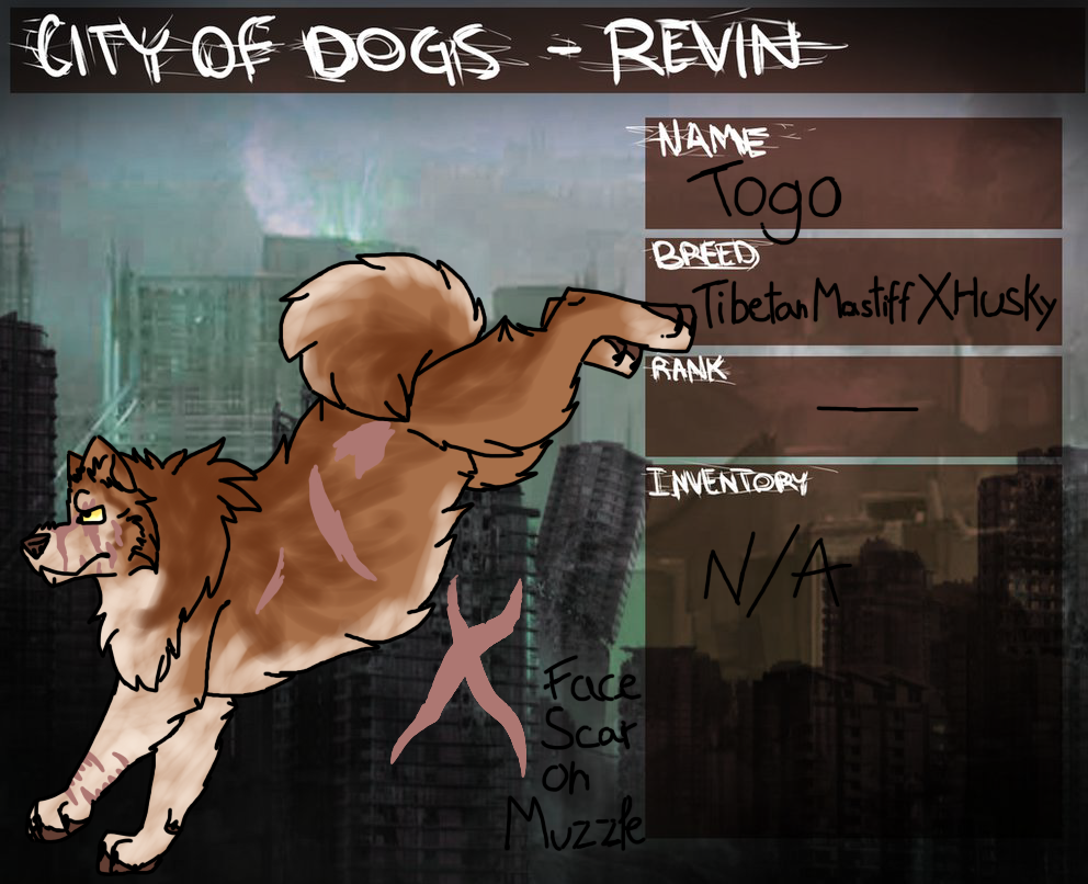 Togo Application-City Of Dogs-Revin