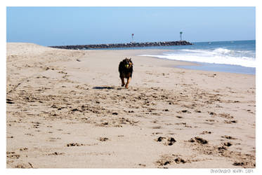 Bella At the Beach 3