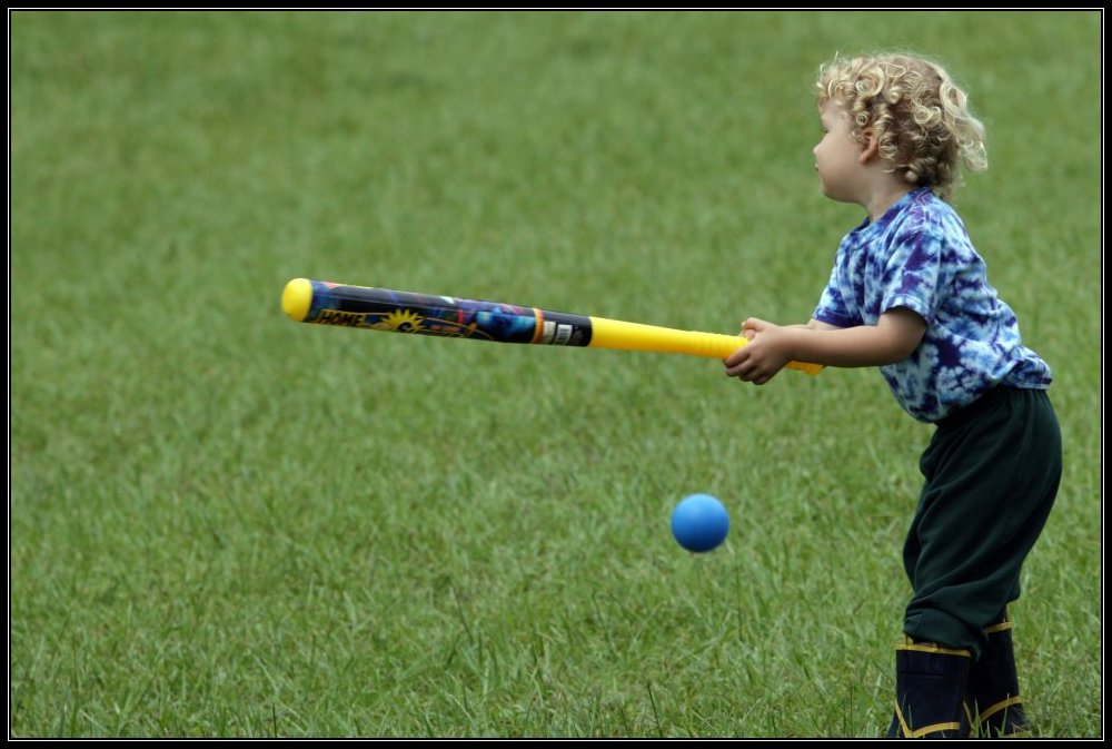 the lessons of little slugger