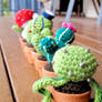 Amigurumi Cacti