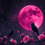 Fondo De Pantalla Oscuro Tematica Gotico, Con Un Poquito De Rosa Y Cuervos