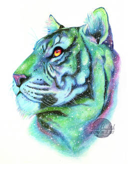 Galaxy tiger